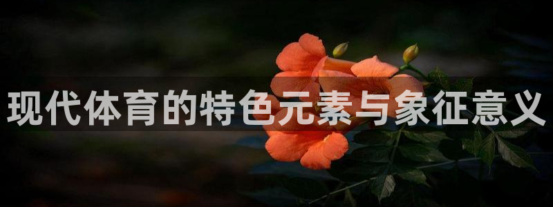 3377体育十大必吃榜：现代体育的特