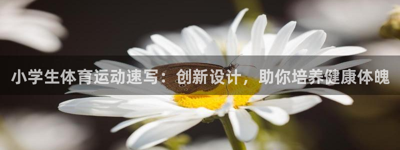 3377体育黑款吗：小学生体育运动速