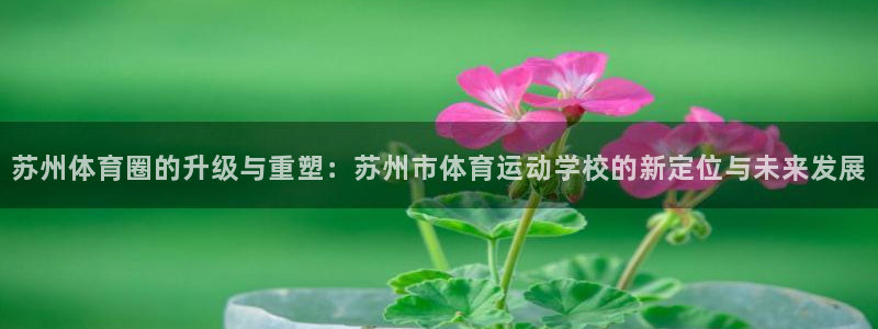 3377体育游戏：苏州体育圈的升级与