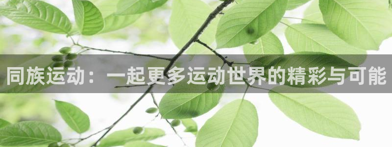 3377体育唯一官方网站：同族运动：