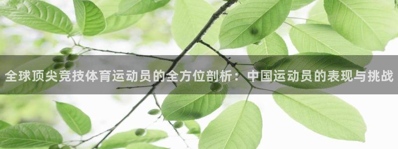 3377体育不出款：全球顶尖竞技体育
