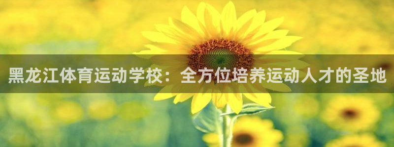 3377体育骗了多少人：黑龙江体育运