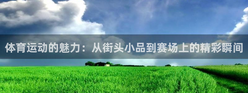 3377体育出款正常不：体育运动的魅