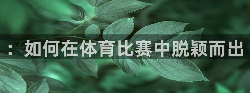 3377体育官网址：：如何在体育比赛