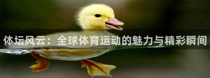 3377体育是哪的：体坛风云：全球体